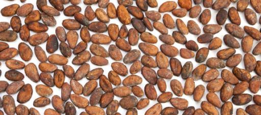 Cocoa beans
