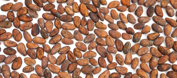 cocoa-beans