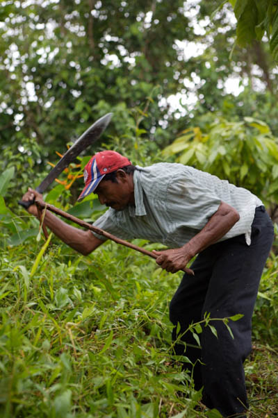 Farmer 36_2