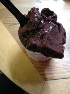 gelatiera