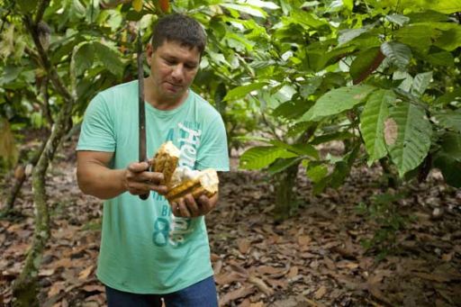 Montecristi Cocoa Farmer