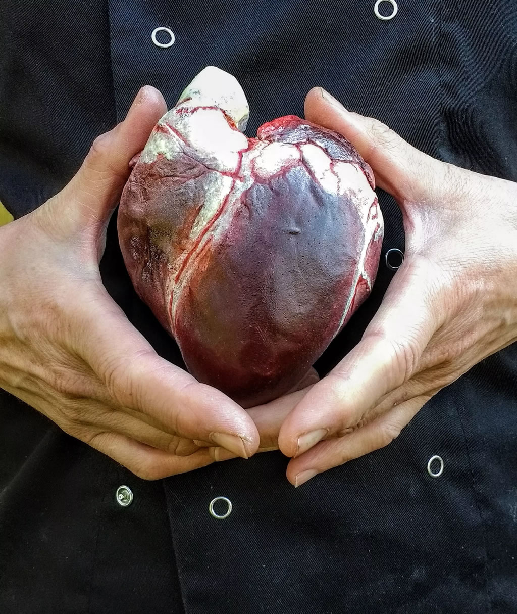 The Edible Museum Chocolate Human Heart