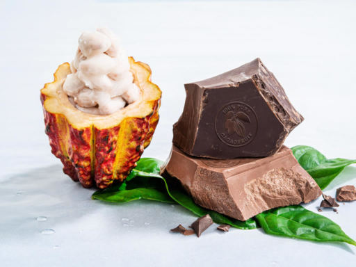 Barry Calleabut WholeFruit Chocolate