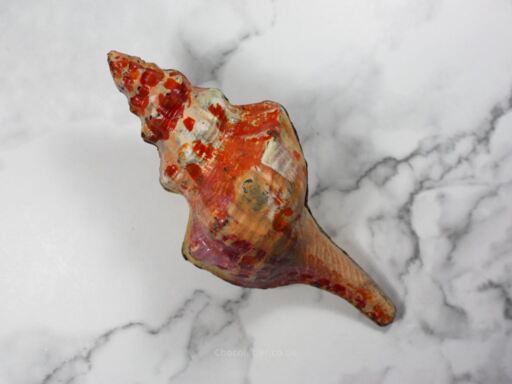 Cheeky Nilla Hand painted Seashell Dark Chocolate