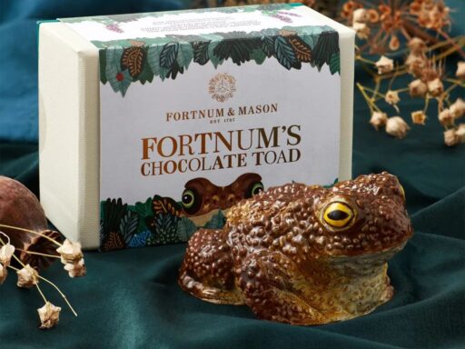Fortnum & Mason Chocolate Toad Gift Box