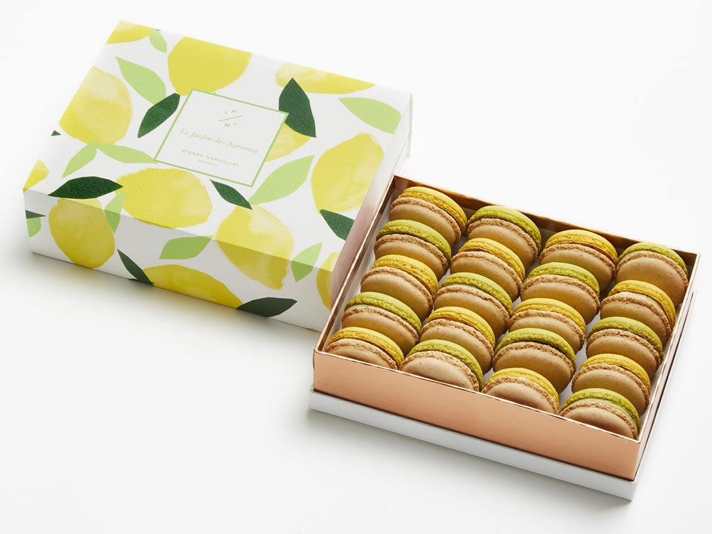 Pierre Marcolini Box Of Citrus Macarons