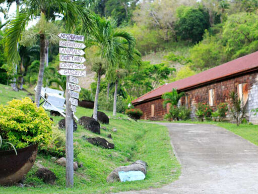 Belmont Estate Farm