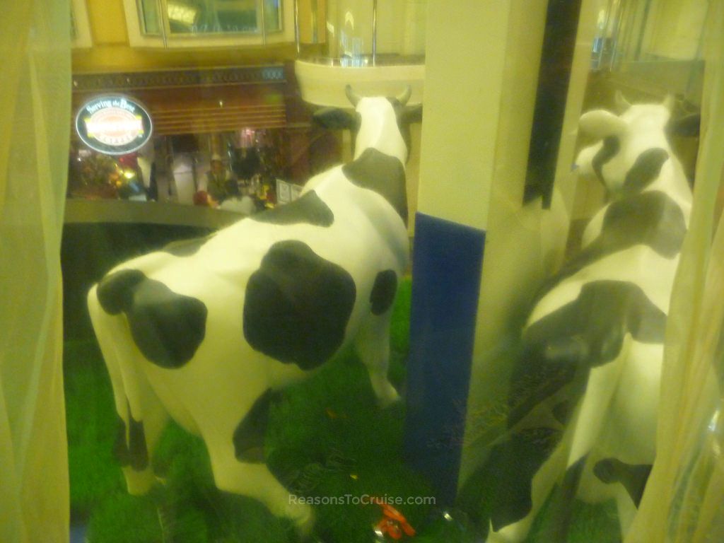 Staring at cow's bums from a cruise ship cabin window